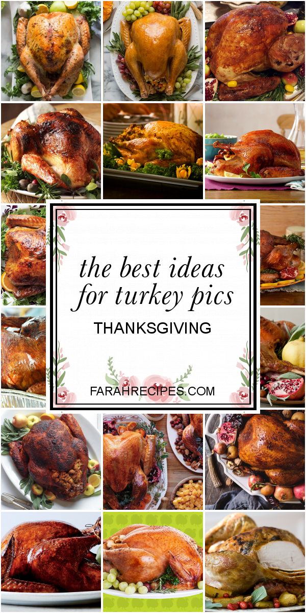 The Best Ideas for Turkey Pics Thanksgiving - Most Popular Ideas of All ...